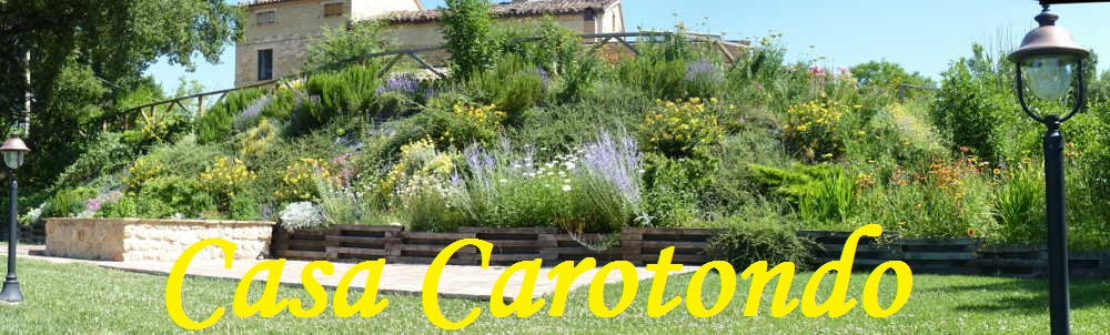 The lower terrace of the garden at Casa Carotondo in Le Marche, Italy  