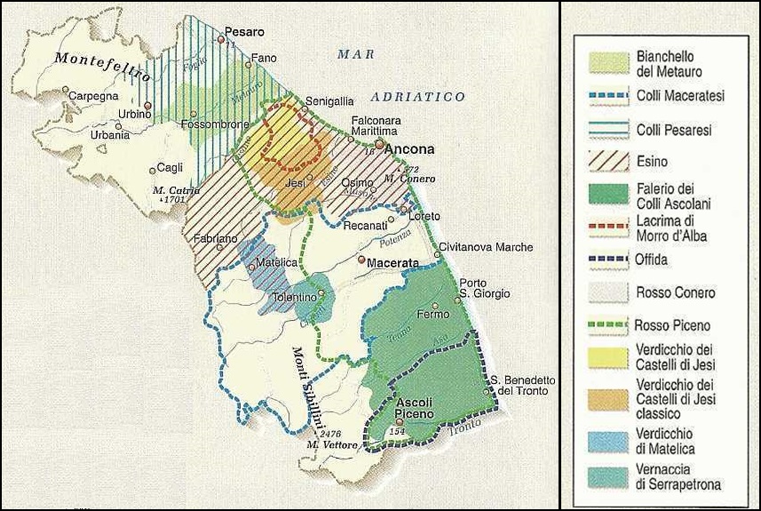 Areas of wine production in Le Marche. Click on the map to enlarge it