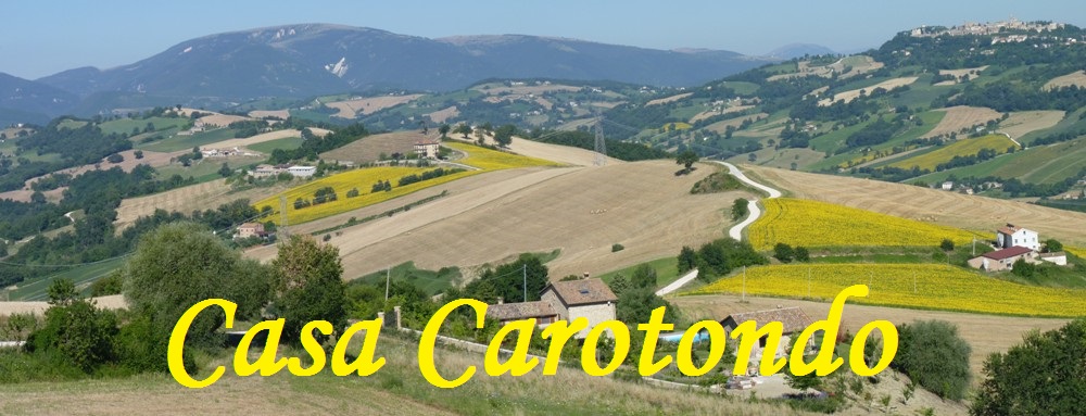 The countryside in summer around Casa Carotondo Le Marche, Italy 